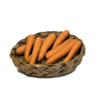 Cenoura