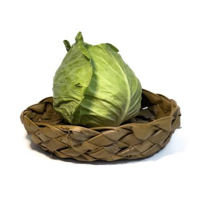 Repolho Verde